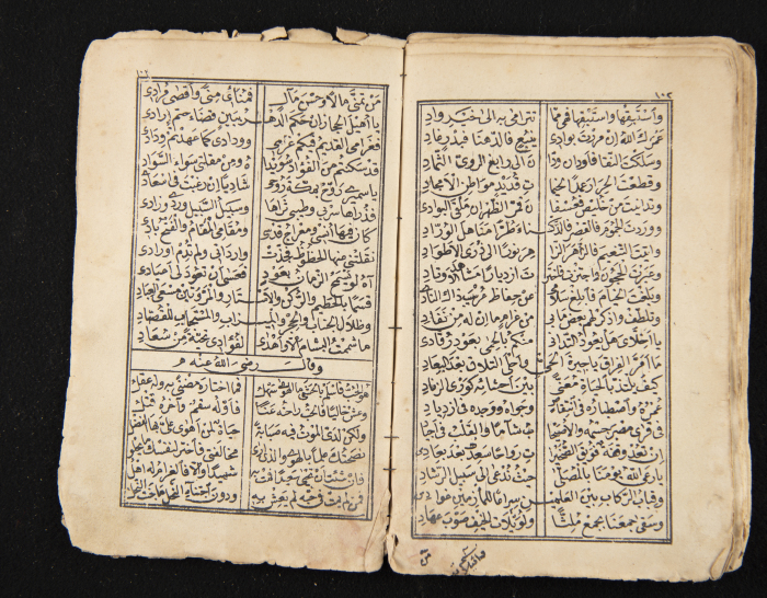 A Book Tracing the Life History Ibn al-Farid, a Sheikh of the Sufi way