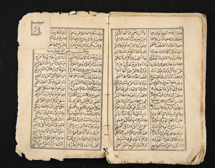 A Book Tracing the Life History Ibn al-Farid, a Sheikh of the Sufi way