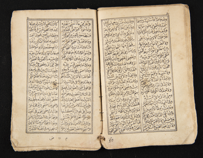 A Book Tracing the Life History Ibn al-Farid, a Sheikh of the Sufi way