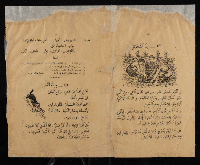 Drawings by Fatima al-Muhib in a School Reading Book
