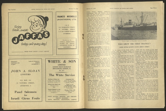 العدد 5 من مجلة 