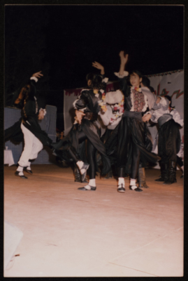 The Saffa Heritage, Culture, and Art Festival, 1998