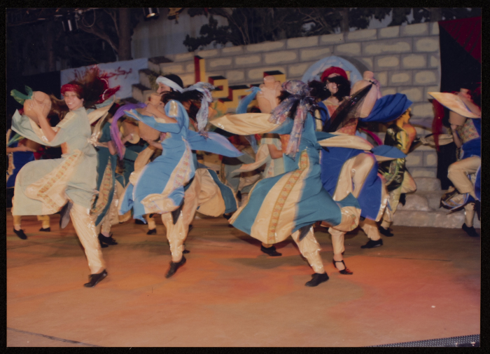 The 3rd Saffa Culture and Art Festival, Handalah Cultural Center, 2006