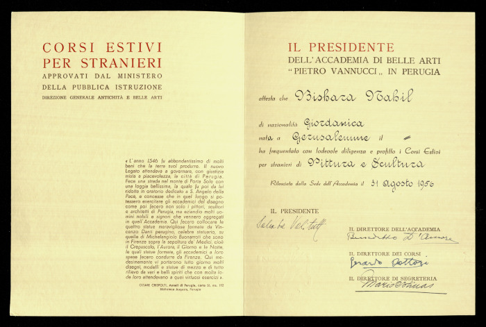 An Academic Certificate 