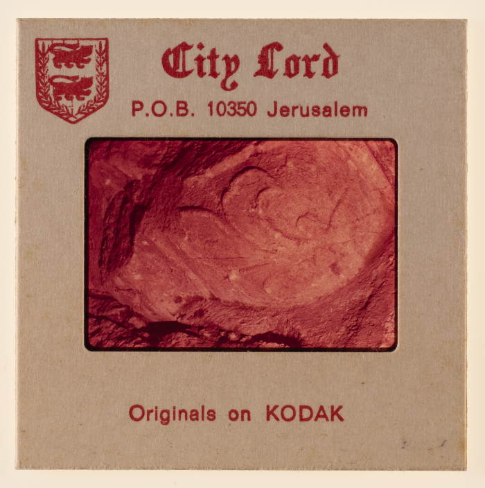 A Negative of Touristic and Historic Photos in Various Areas in Occupied Palestine, Occupied Palestine, 1970