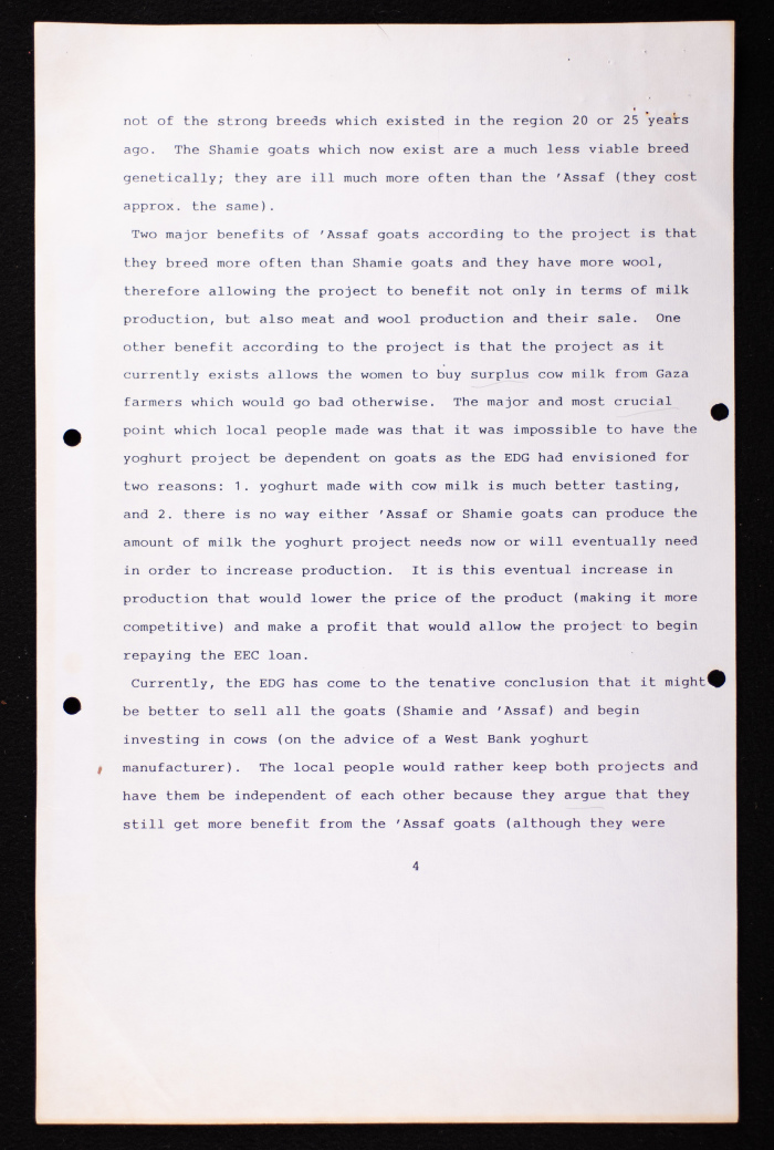 A Report on the 'Abbassan Yoghurt Project