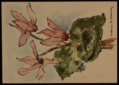 بطاقة تهنئة، وصلت بسام الشكعة