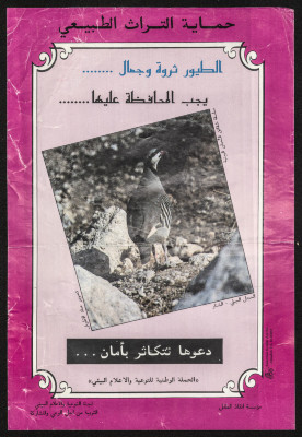"Protecting the Natural Heritage", a Poster Issued by Save the Children and the Awareness and Environmental Media 