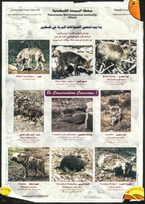"Hand in Hand to Protect Wild Animals in Palestine", a Poster Issued by the Palestinian Environmental Authority. 