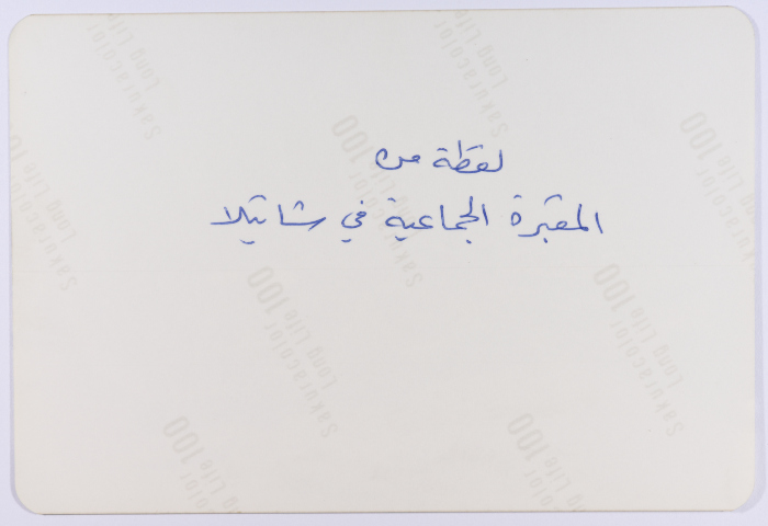 المقبرة الجماعية، مخيم شاتيلا، 1982- 1988