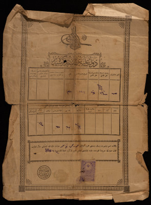 شهادة ميلاد عثمانية لمحمد محمود شيخ أحمد، 1904