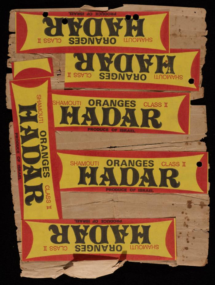 حجة بيع ذياب محمد الخليل 