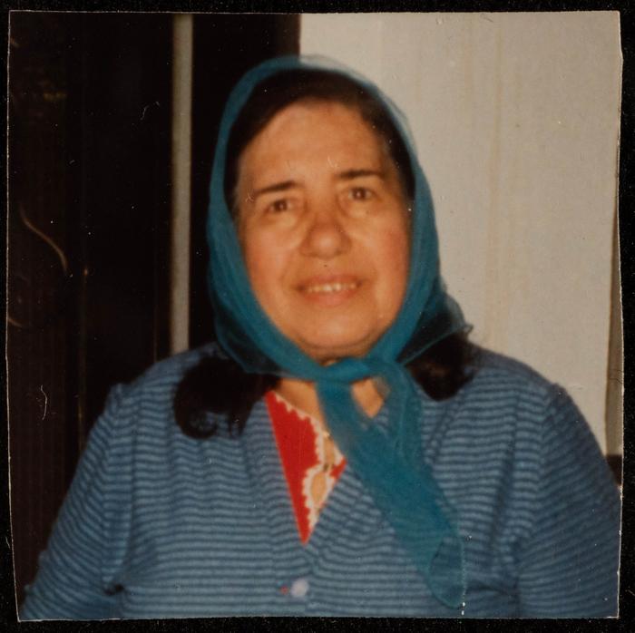 A Portrait of Fatima al-Muhib