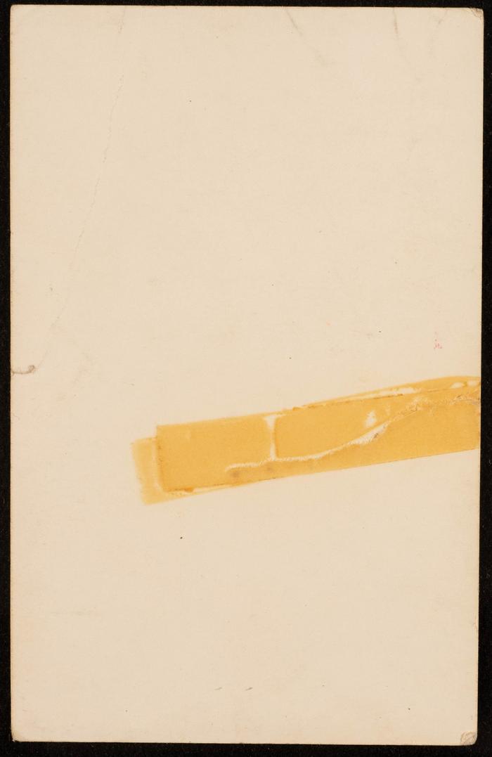 A Portrait of Zeinab al-Muhib 