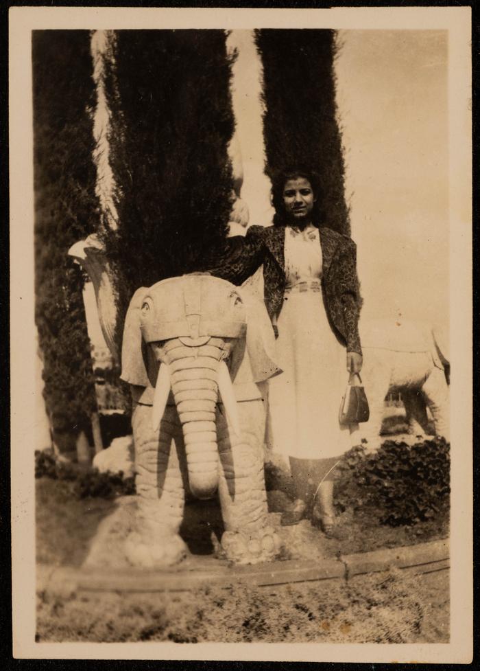 A Portrait of Fatima al-Muhib 