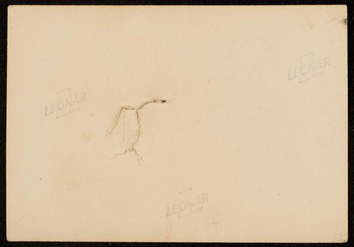 صورة جماعية لفتاتين غير معروفات