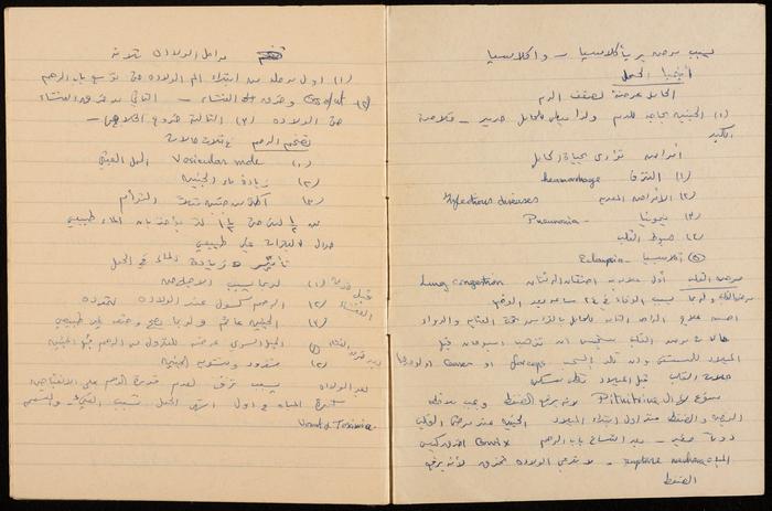 Papers from the Notebook of Zeinab al-Muhib 