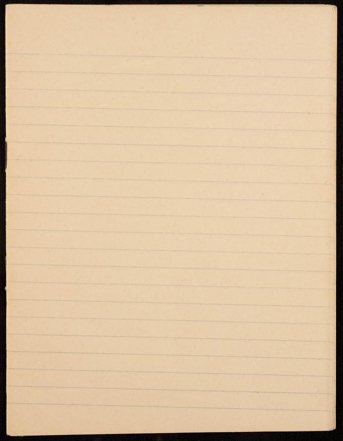 Papers from the Notebook of Zeinab al-Muhib 