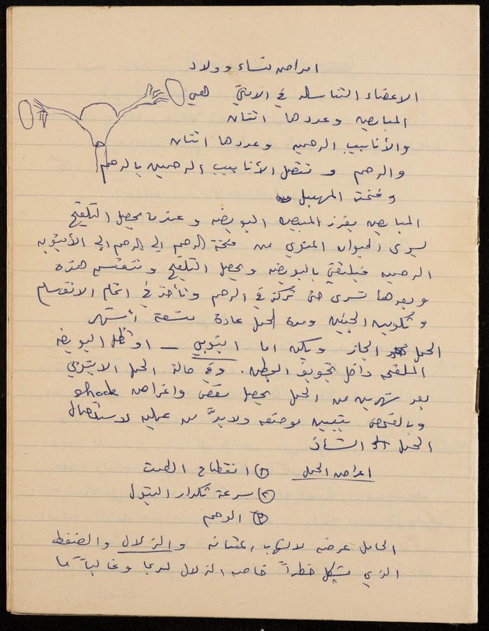 Papers from the Notebook of Zeinab al-Muhib 
