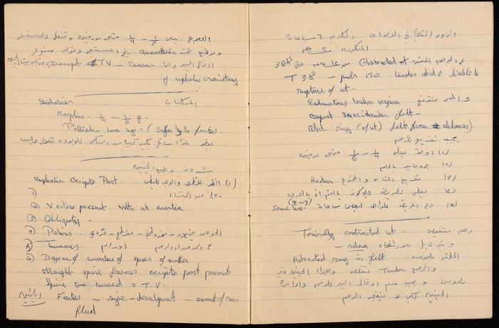 Papers from the Notebook of Zeinab al-Muhib 