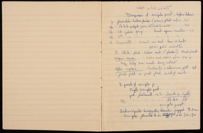 Papers from the Notebook of Zeinab al-Muhib 