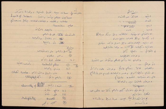 Papers from the Notebook of Zeinab al-Muhib 