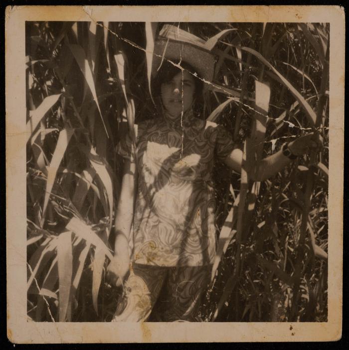 إيميلي القرع في يافا