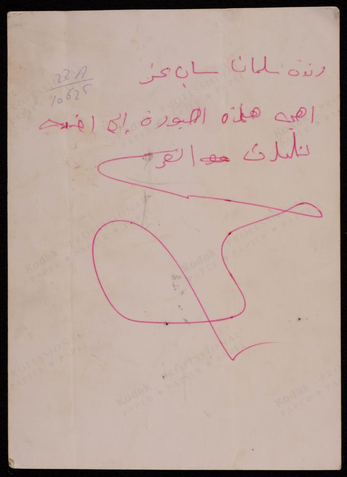 A Portrait of Randa Izz 