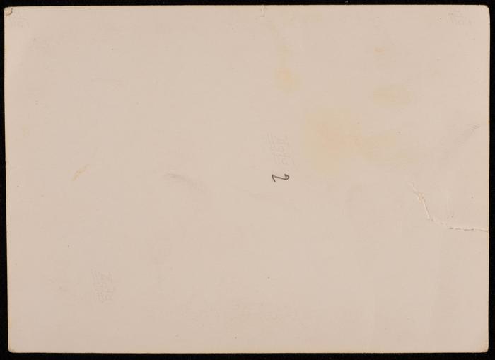 Khamis Qare and Rima Habash on Their Wedding Day, Ramallah 