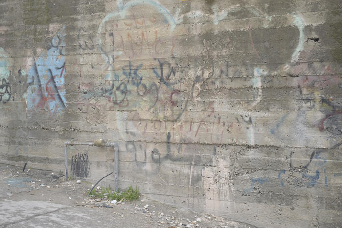 عبارات وطنية وشعارات على أحد الجدران في مخيم الدهيشة، بيت لحم، 2015