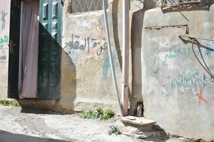 عبارات وطنية وشعارات على أحد الجدران في مخيم الدهيشة، بيت لحم، 2015