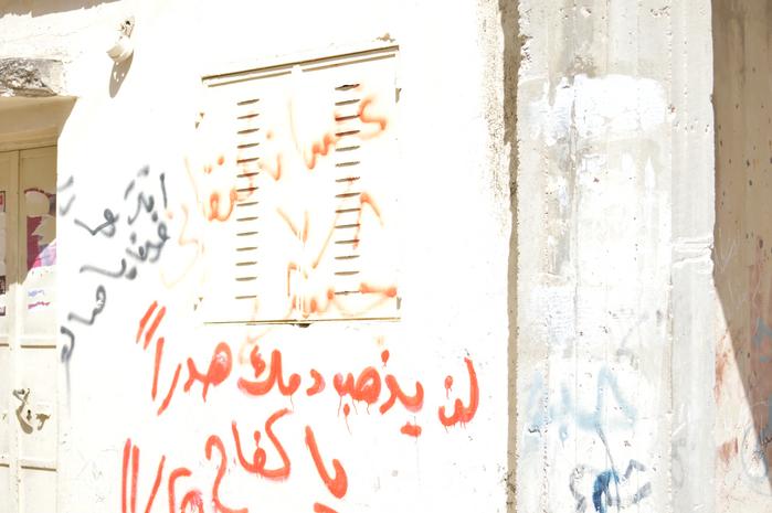 عبارات وطنية وشعارات على أحد الجدران في مخيم الدهيشة، بيت لحم، 2015