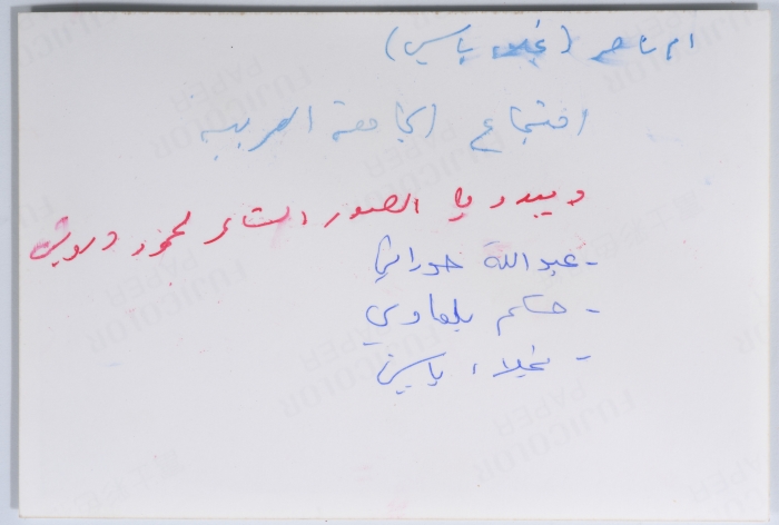 نجلاء ياسين في جامعة الدول العربية