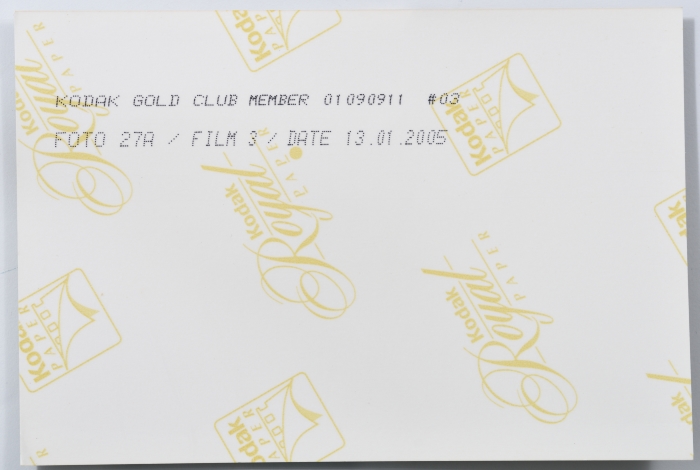 سيدة فلسطينية خلال مشاركتها في الانتخابات