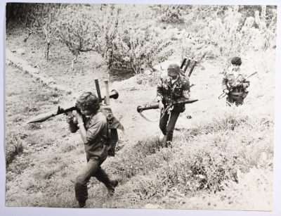 حرب الجبل، البقاع، 1982