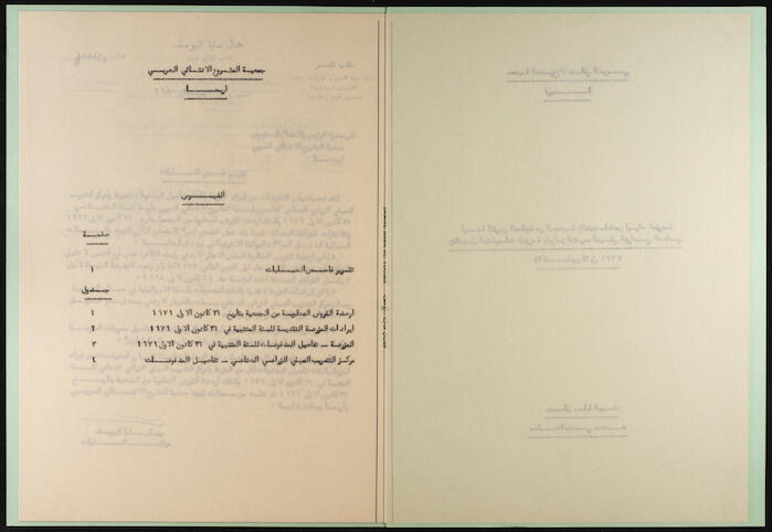 The Arab Development Society Receipts and Payments Record, 1980
