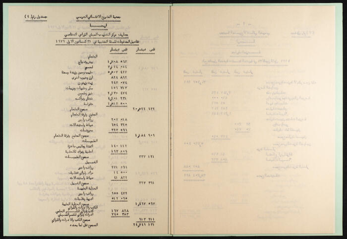The Arab Development Society Receipts and Payments Record, 1980
