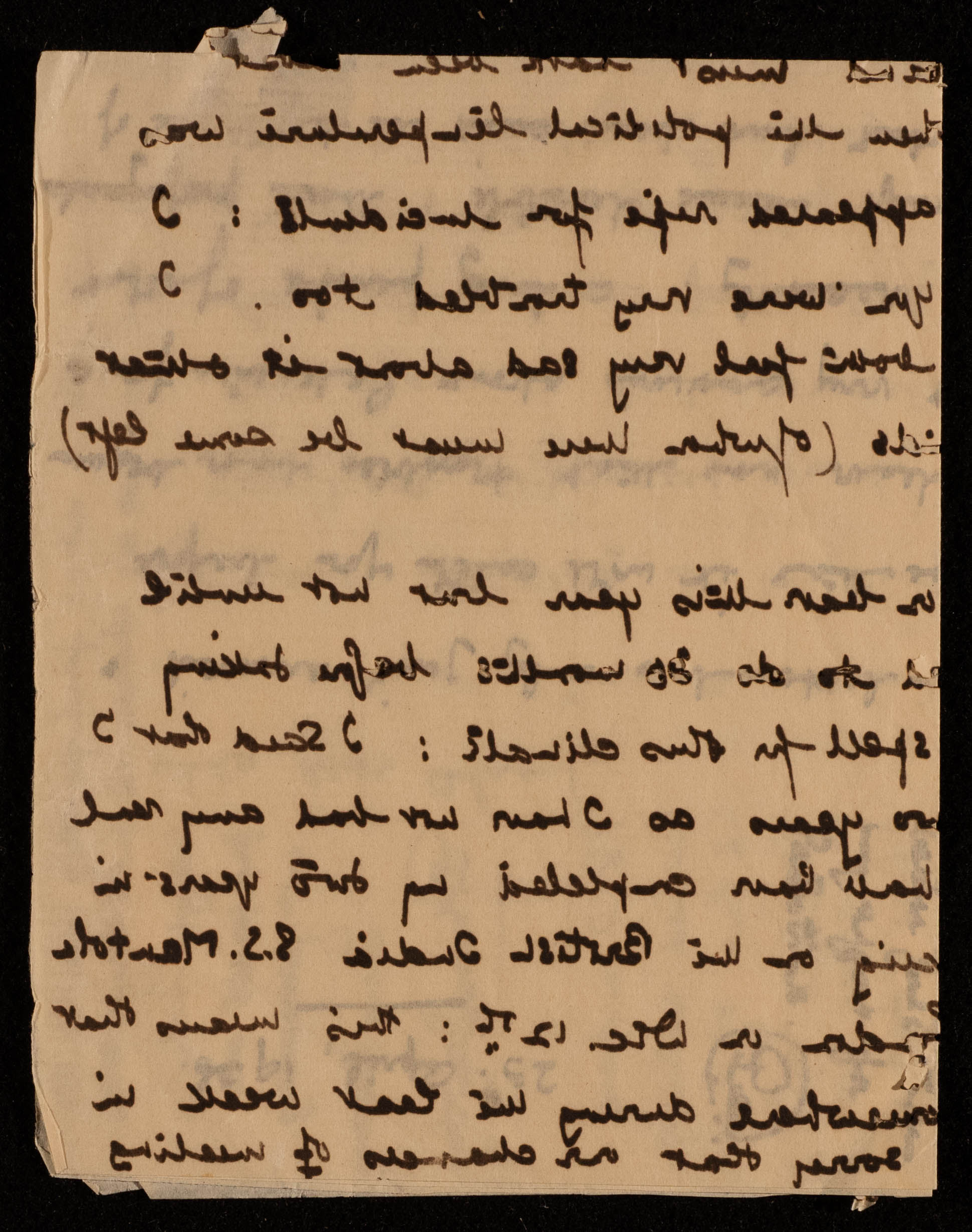 The Palestinian Museum Digital Archive - أرشيف المتحف الفلسطيني