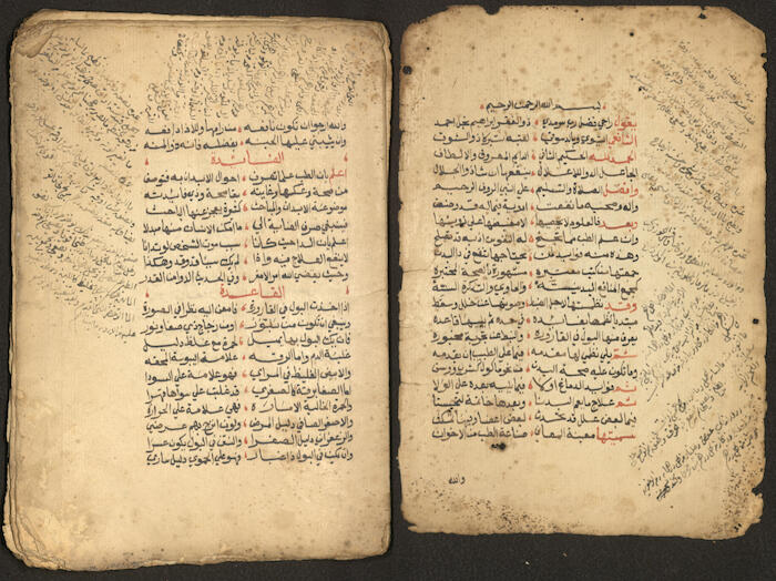 A Poetic Manuscript Containing Medical Prescriptions