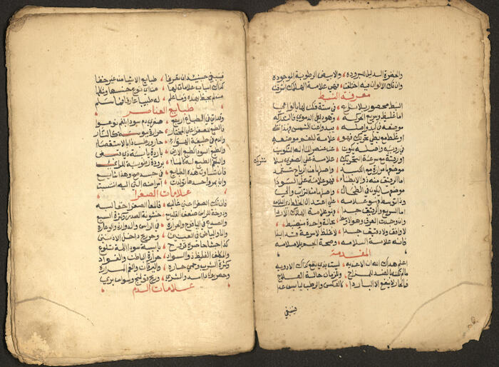 A Poetic Manuscript Containing Medical Prescriptions