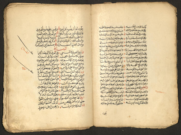 A Poetic Manuscript Containing Medical Prescriptions