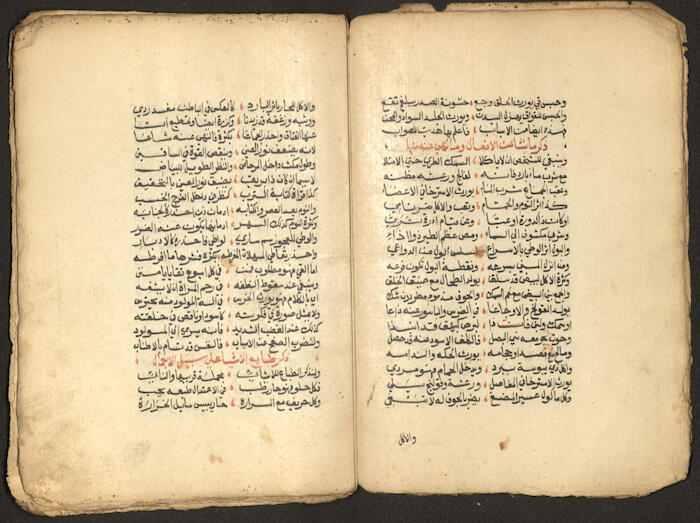 A Poetic Manuscript Containing Medical Prescriptions