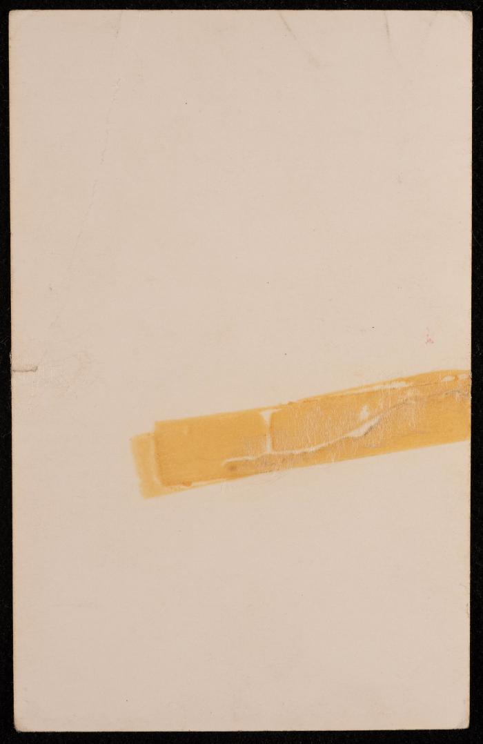 A Portrait of Zeinab al-Muhib 