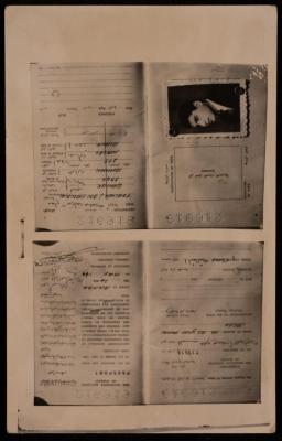 The Passport of Ali Fodeh, Amman, 24 May 1969