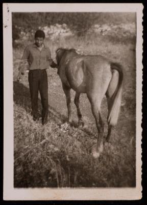 Ali Fodeh Leading a Horse