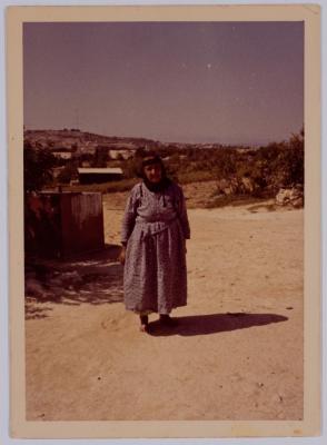 A Photograph of Ameneh Bsoul, Reineh 