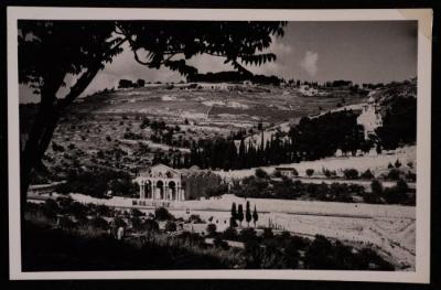 A Photograph of the Church of the Agony "Church of All Nations" in Occupied Jerusalem