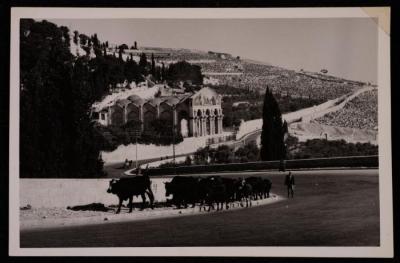The Church of the Agony in Jerusalem, a Photograph by Yousef Albina, the 1920s-30s
