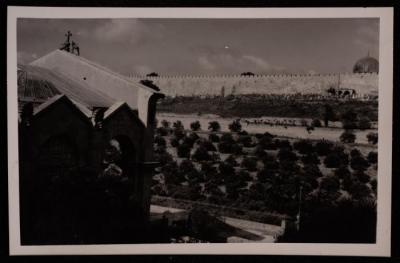 A Photograph of the Deers on Top of the Church of Agony "the Church of All Nations" in the Occupied City of Jerusalem Taken Between the 1920s and the 1930s 