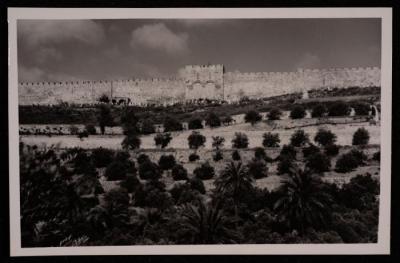 Ar-Rahma Gate and the Islamic Cemetery in Jerusalem" Taken Between the 1920s and the 1930s 